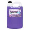 Shampoo para autos 4 LT