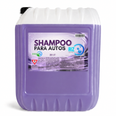 Shampoo para autos 20 LT
