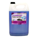 Shampoo para autos 4 LT